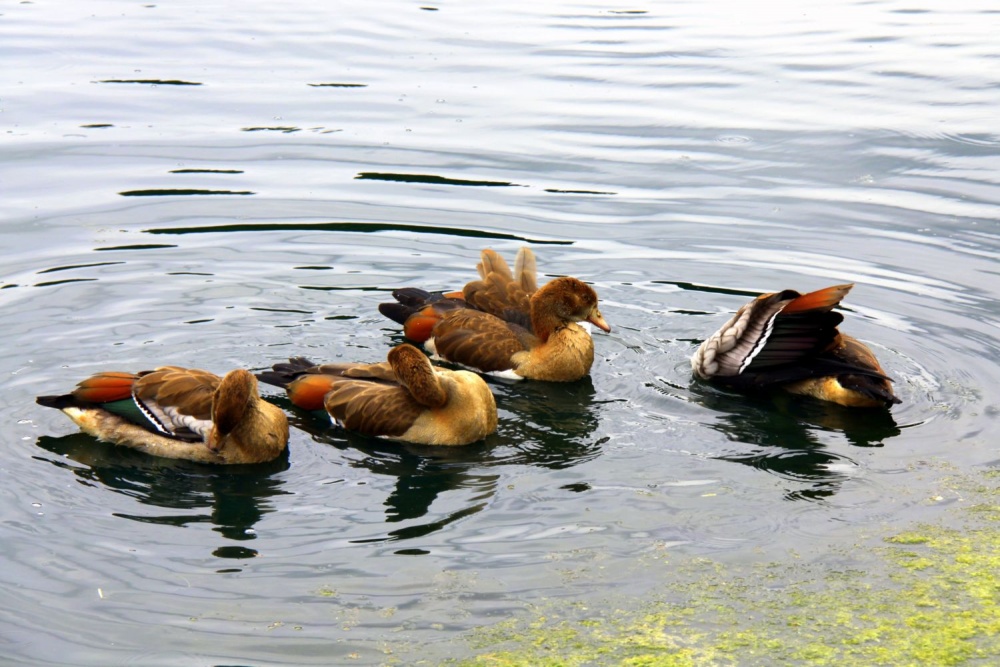 Der Beginn des Tages