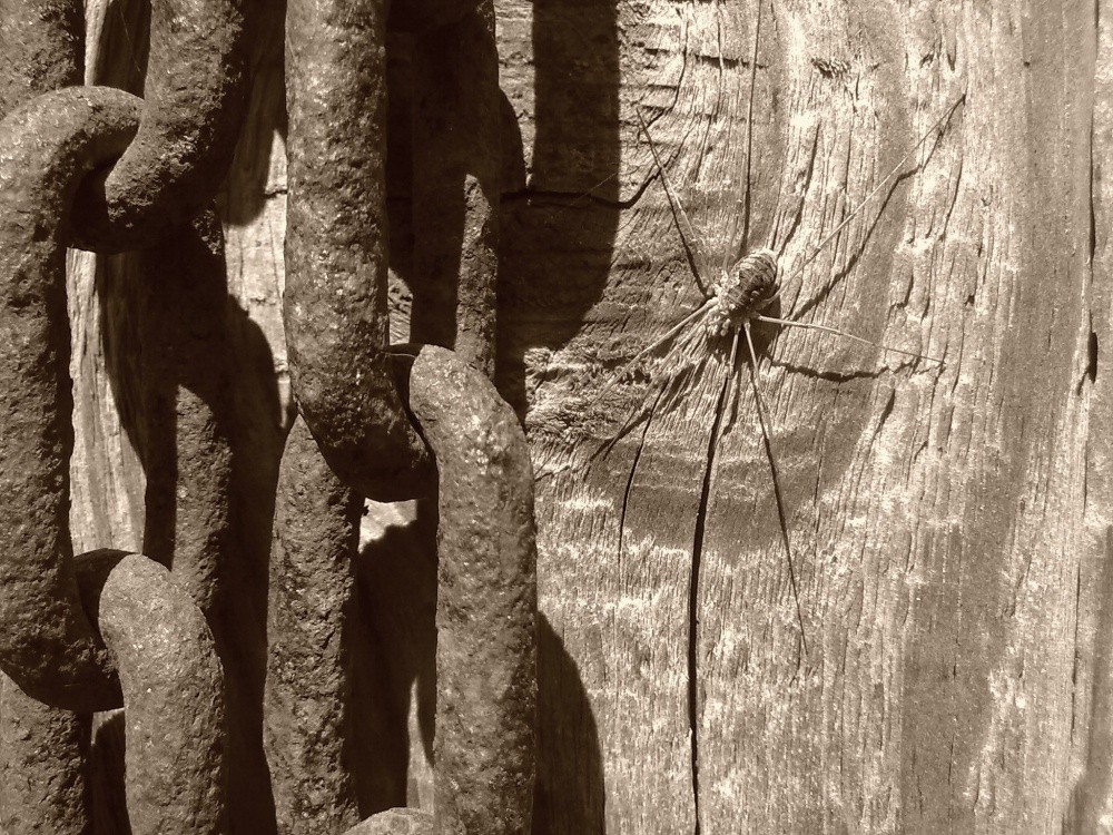 Härte und Verletzlichkeit