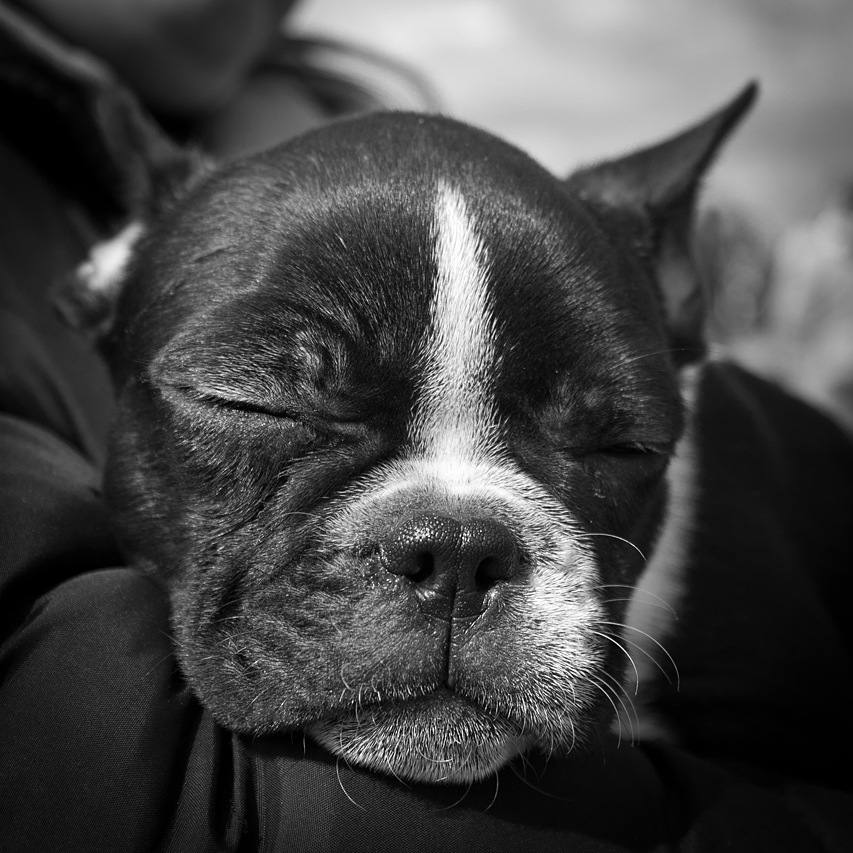 Und lassen Sie die ganze Welt wartet ...