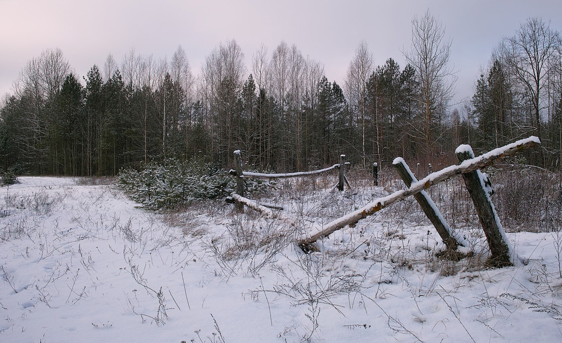 Winterwandern - 2