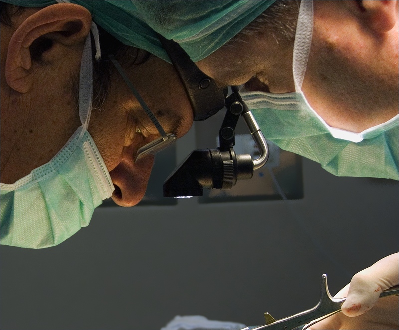 Kolleginnen und Kollegen