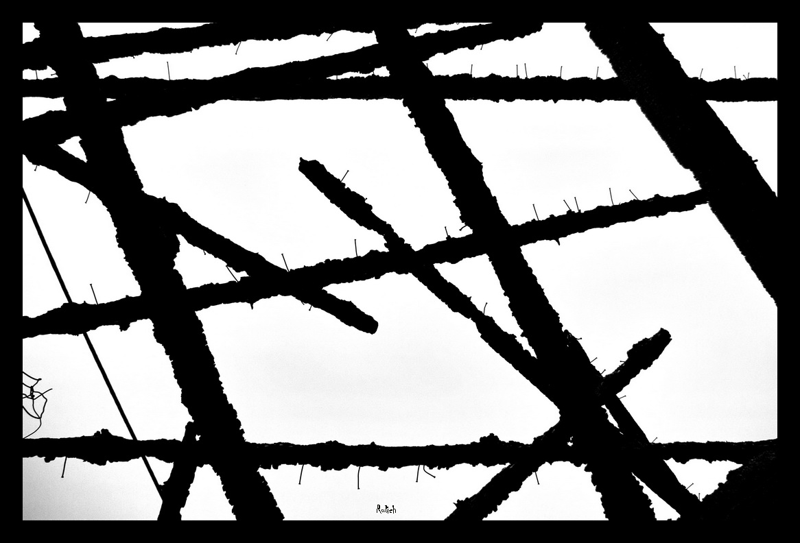 Hingabe an das Feuer