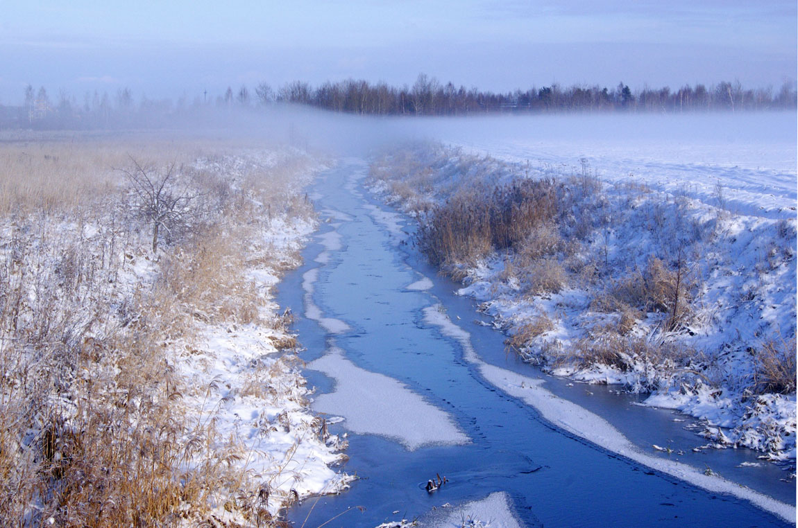 Auf einer Winter-Nebel