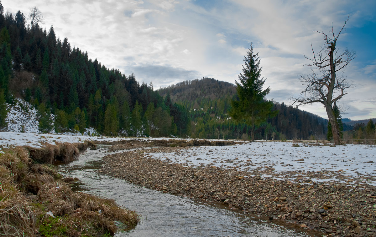 Der Hypnotiseur und der Öffentlichkeit