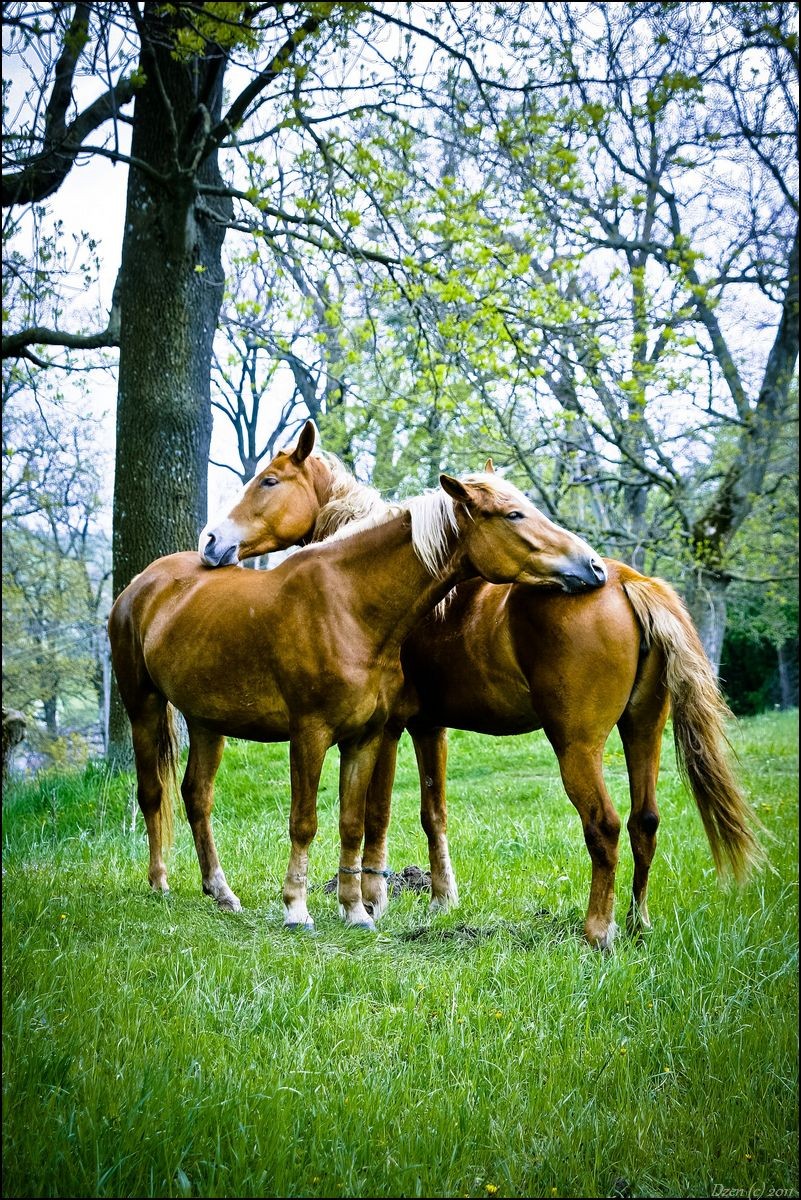 Miteinander verkettet ...