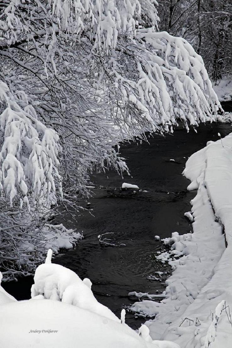 Versiegender Bach ... läuft ein Bach ...