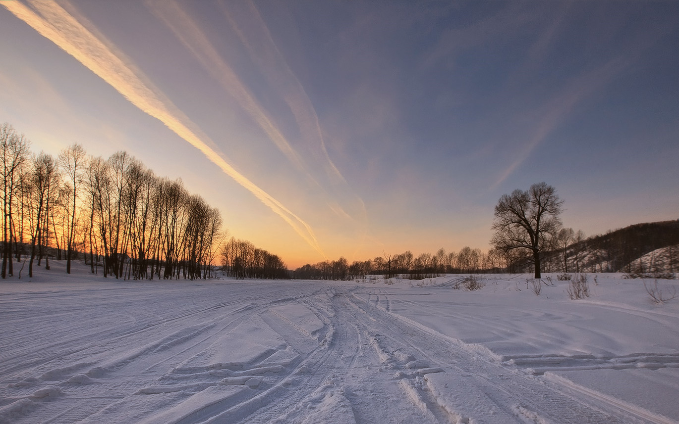 Ein wichtiger Trend ...