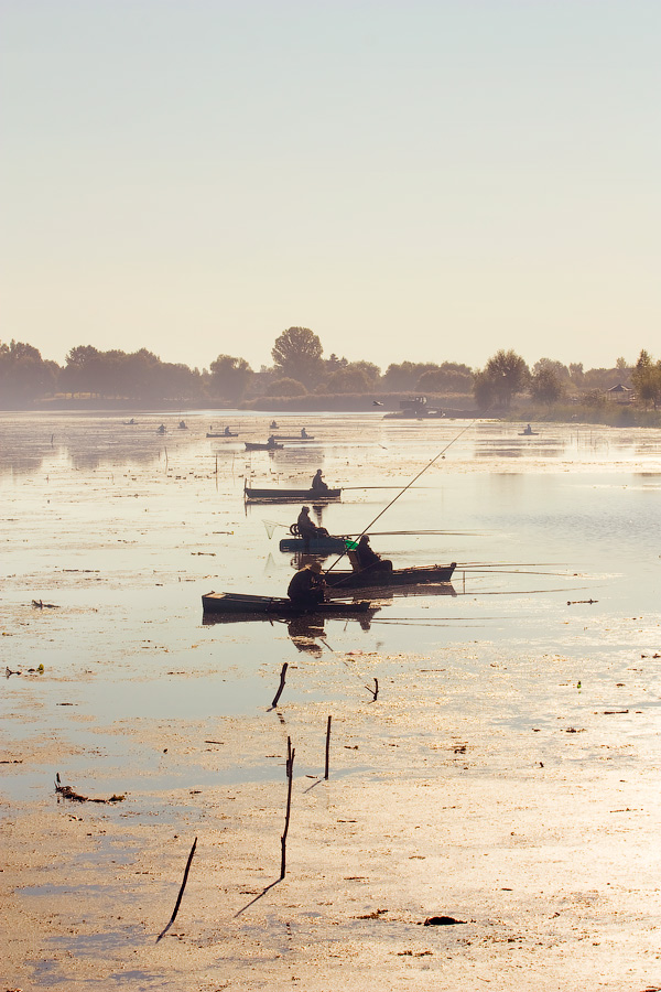 Morgen Angeln
