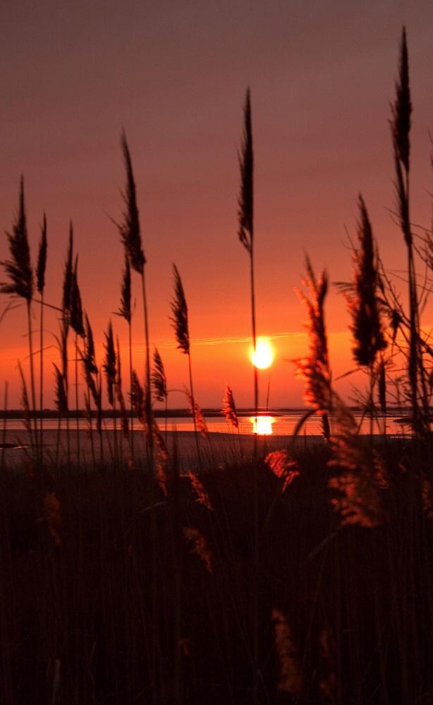 Sonnenuntergang über Sevashom