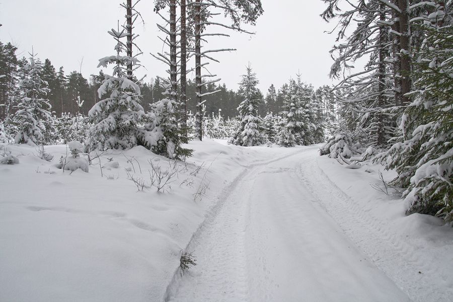 und hier kam sie - im Winter ...