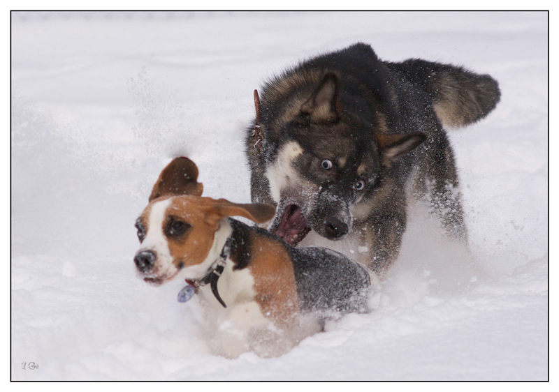 Es kommt ein graues Top