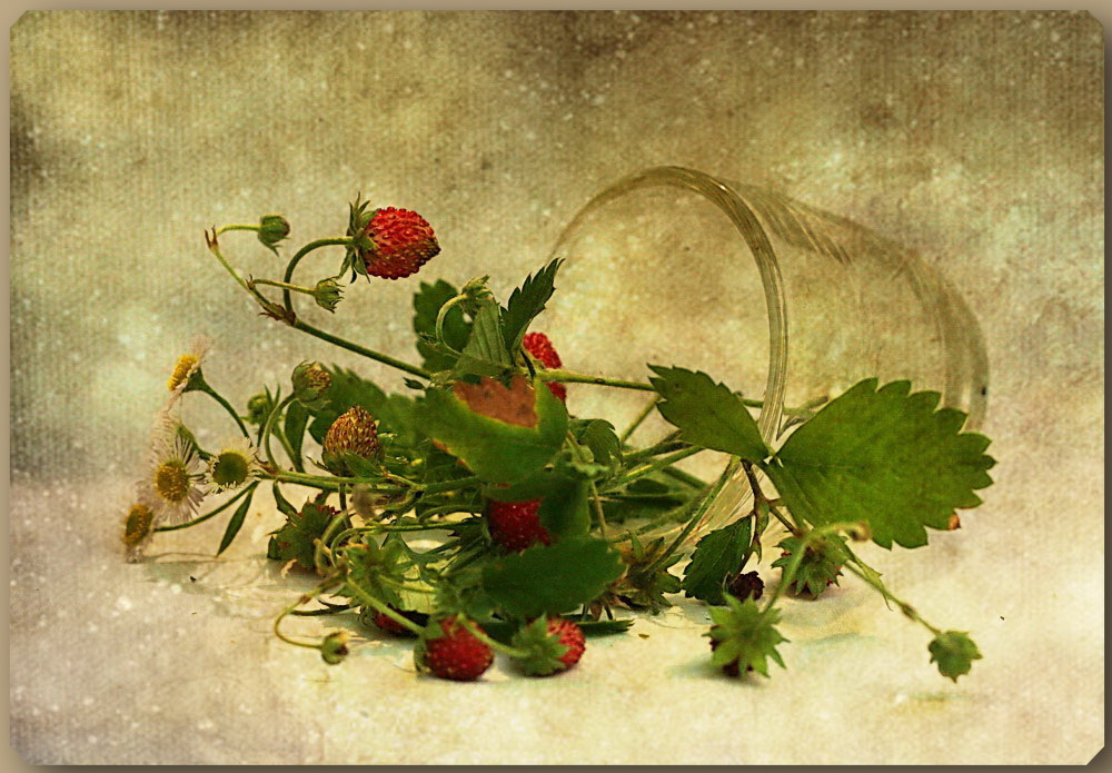 Oh, wie süß Erdbeere Geruch von Sonne und Frühling ...