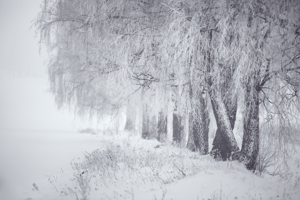 Der Winter ist in der Nähe von Minsk