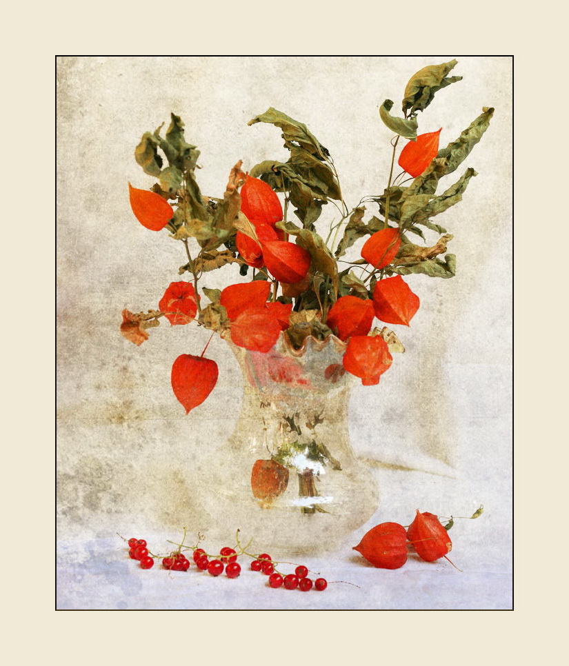 Erinnerungen an letzten Sommer