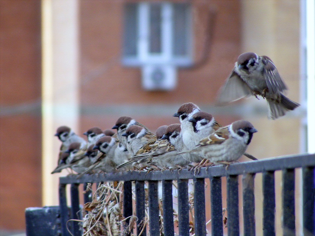 "Sie sagten das gleiche: nicht zu nehmen!"