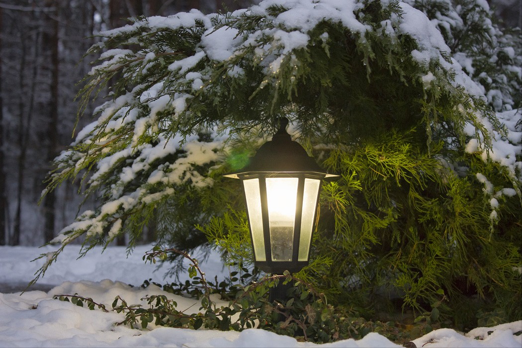 Im Vorgriff auf Geschichten ...