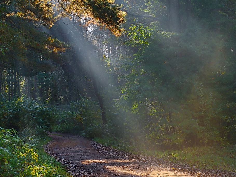 im Chaos der Welt ...