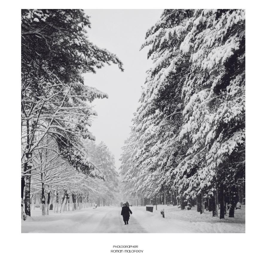 Die Ratio-Werte oder die Stärke der sibirischen Kälte.