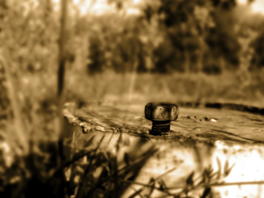 Spontaneous still life with a rusty bolt