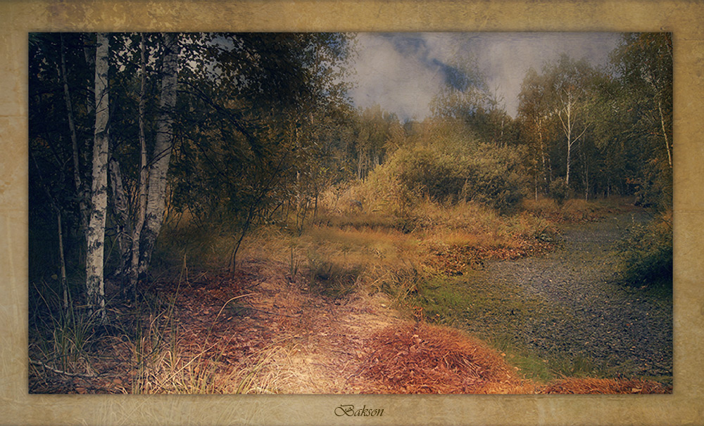 In ausgetrockneten Bach