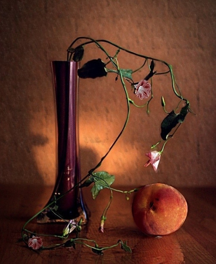 Bindweed und Pfirsich