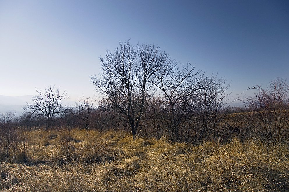 An einem Wintertag II