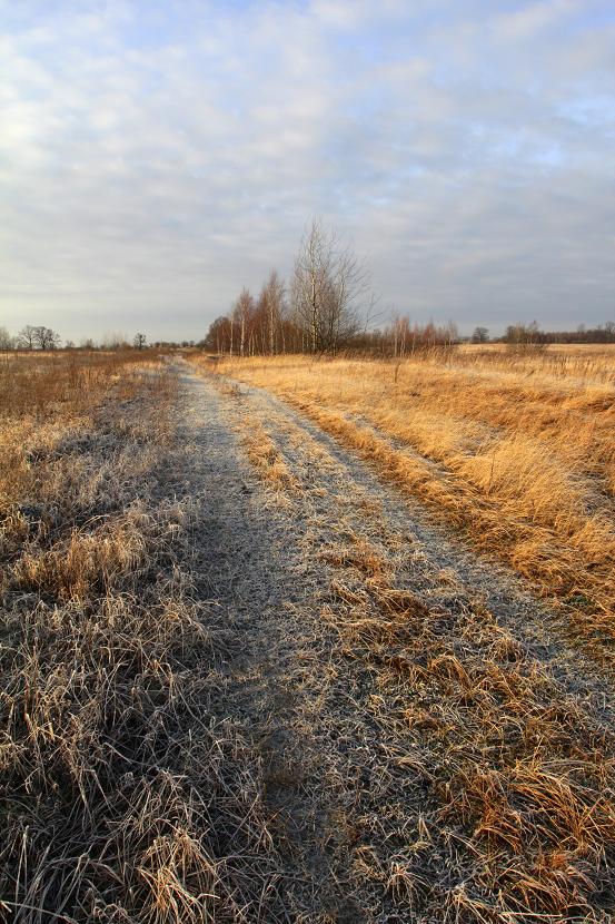 Ein frostiger Morgen