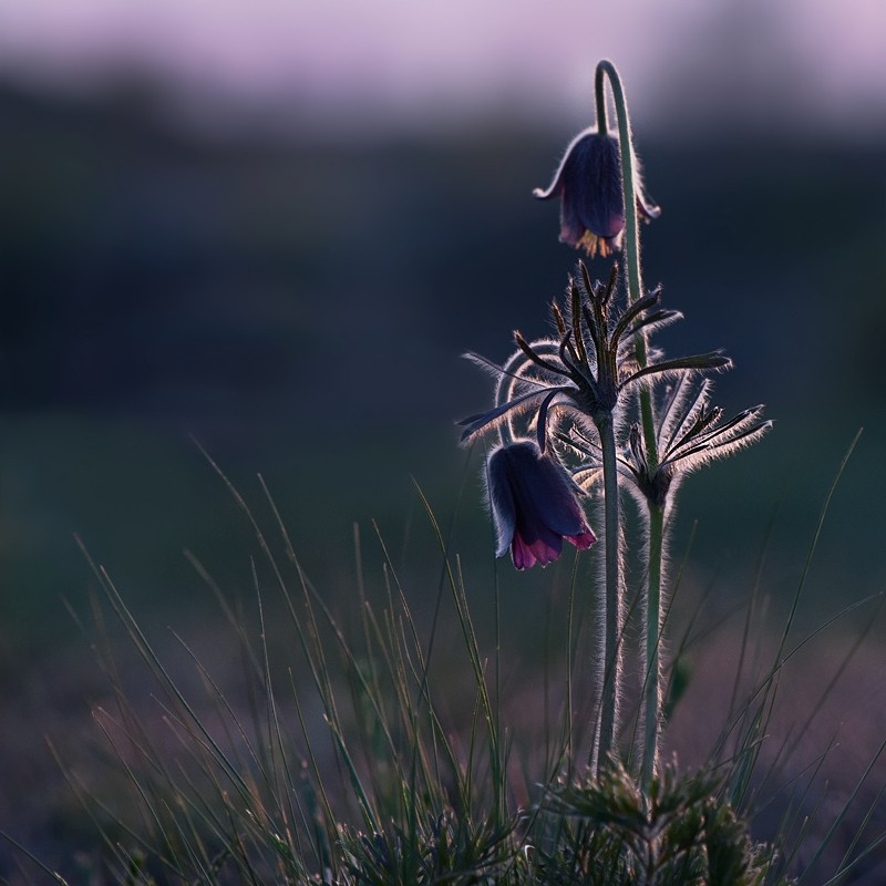 Nehmen Sie ein wenig Licht ... mein ...
