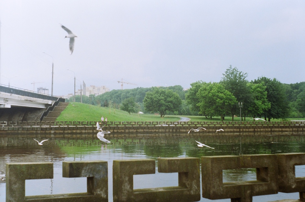 Auf einem traurigen Motiv