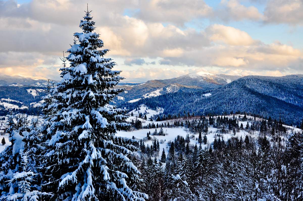 Blick vom Mount Trostyan