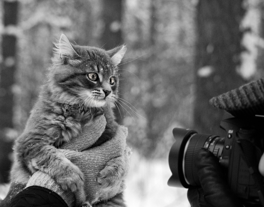 Schwerer werktags Modell