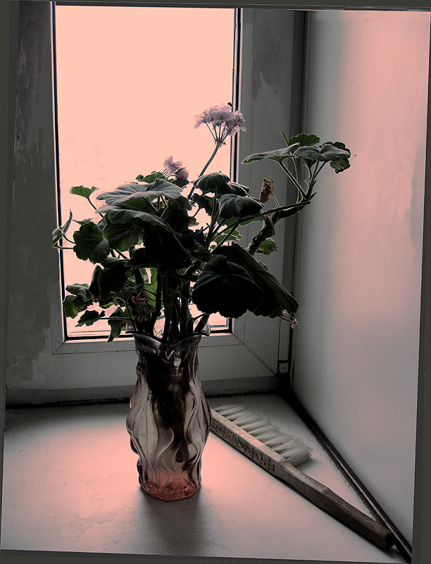 In den rosarote Brille