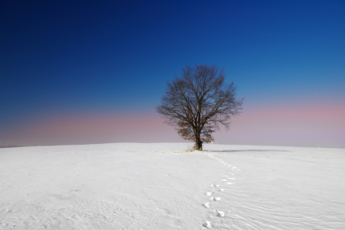 Über dem Ort, wo die Gleise endeten.