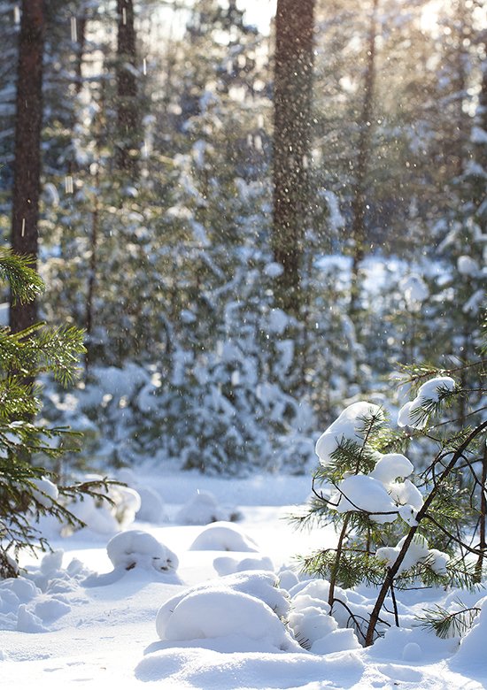 Entpuppte sich als ein wunderschöner Tag sein