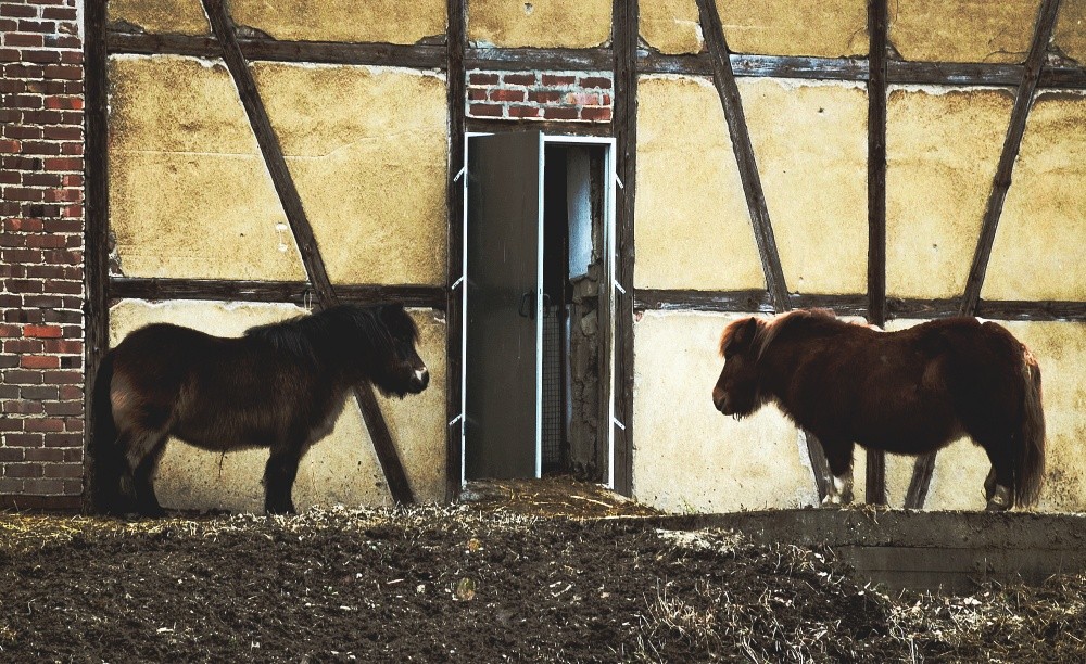 Wessen - der Bauernhof ..