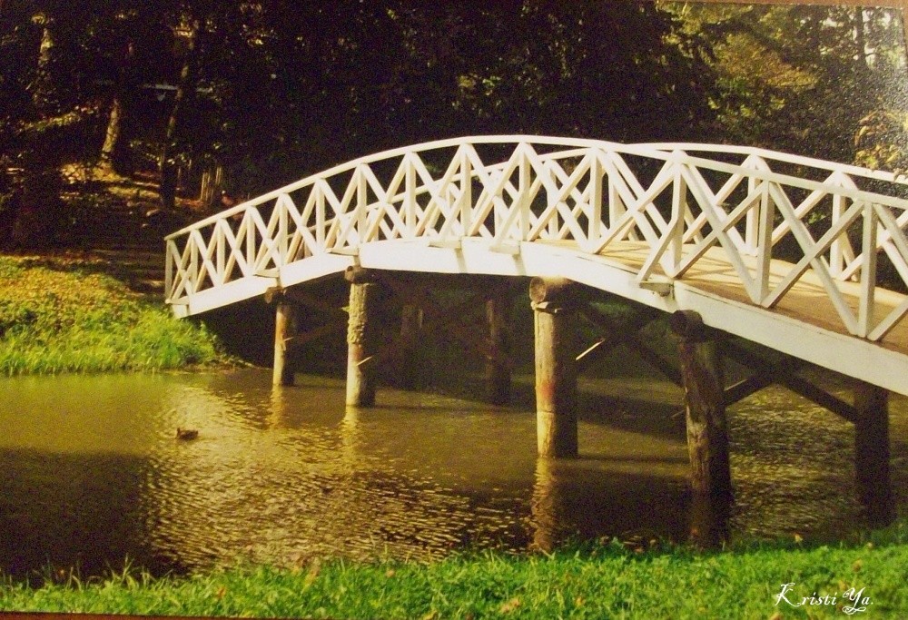 Brücke