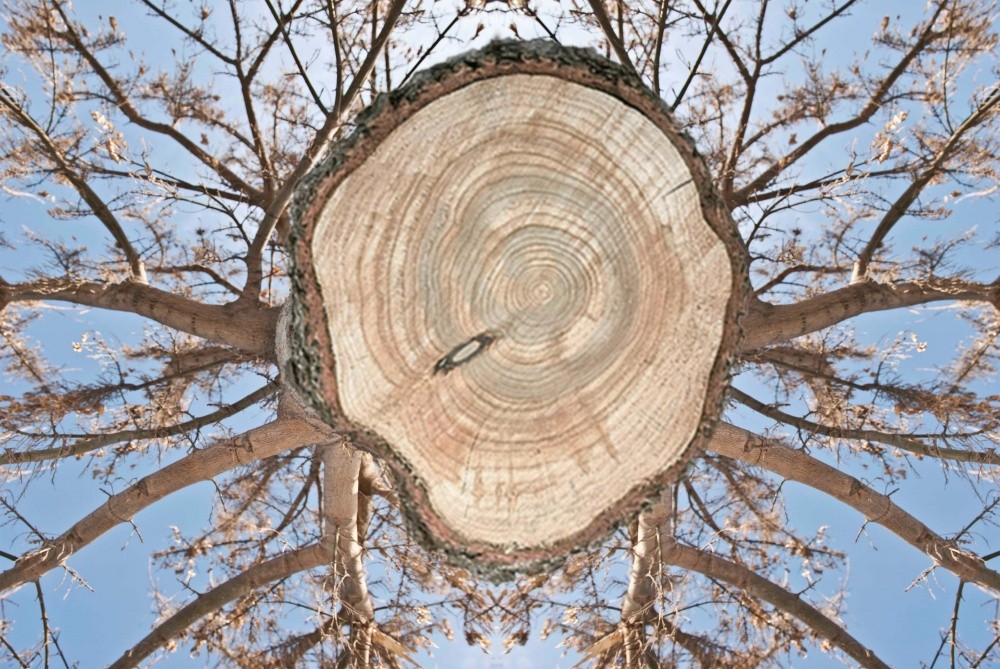 Durch die Augen des Stumpfes - Parting