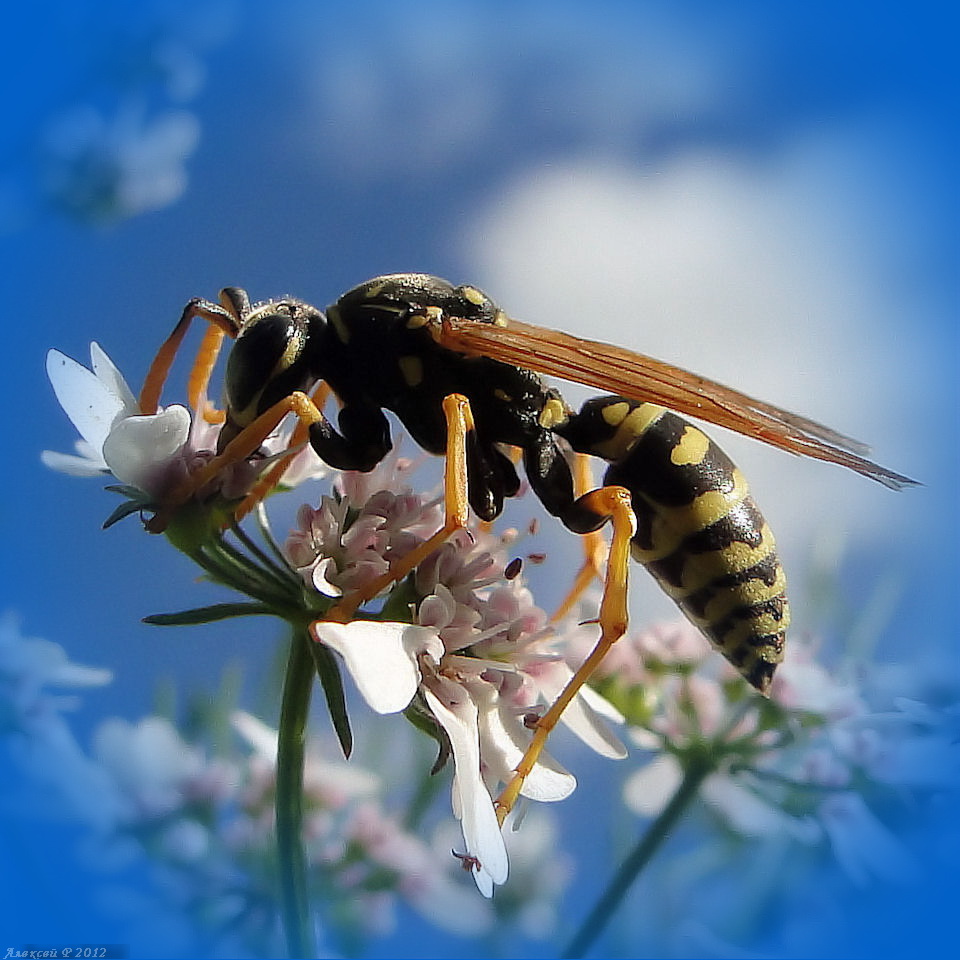 Beim Abendessen ..)))