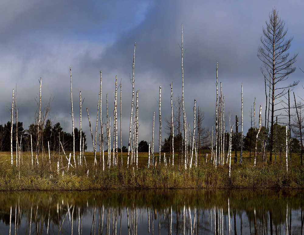 Ein bisschen von schlechten Nachrichten