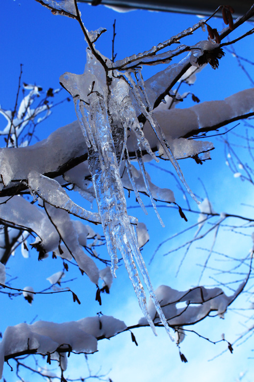 Moment des Winters ..