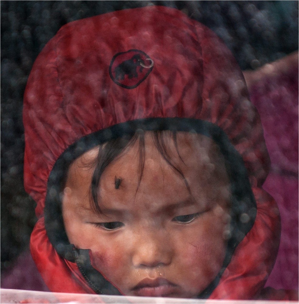 Argumente über die traurige Aussterben der Mammuts mit einer Fliege ...