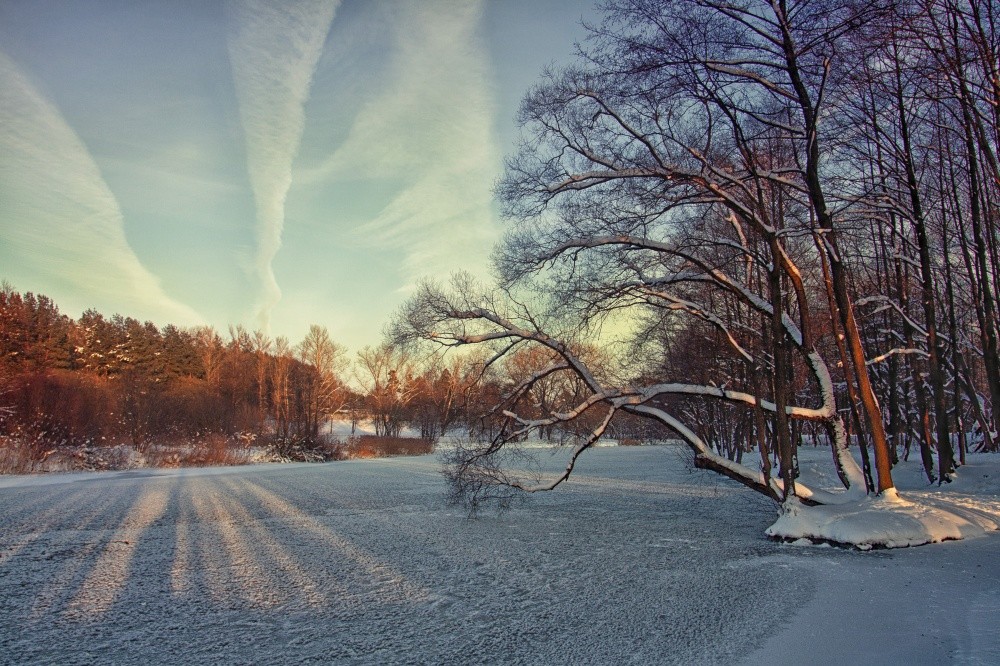 Die Januar-Rückgang