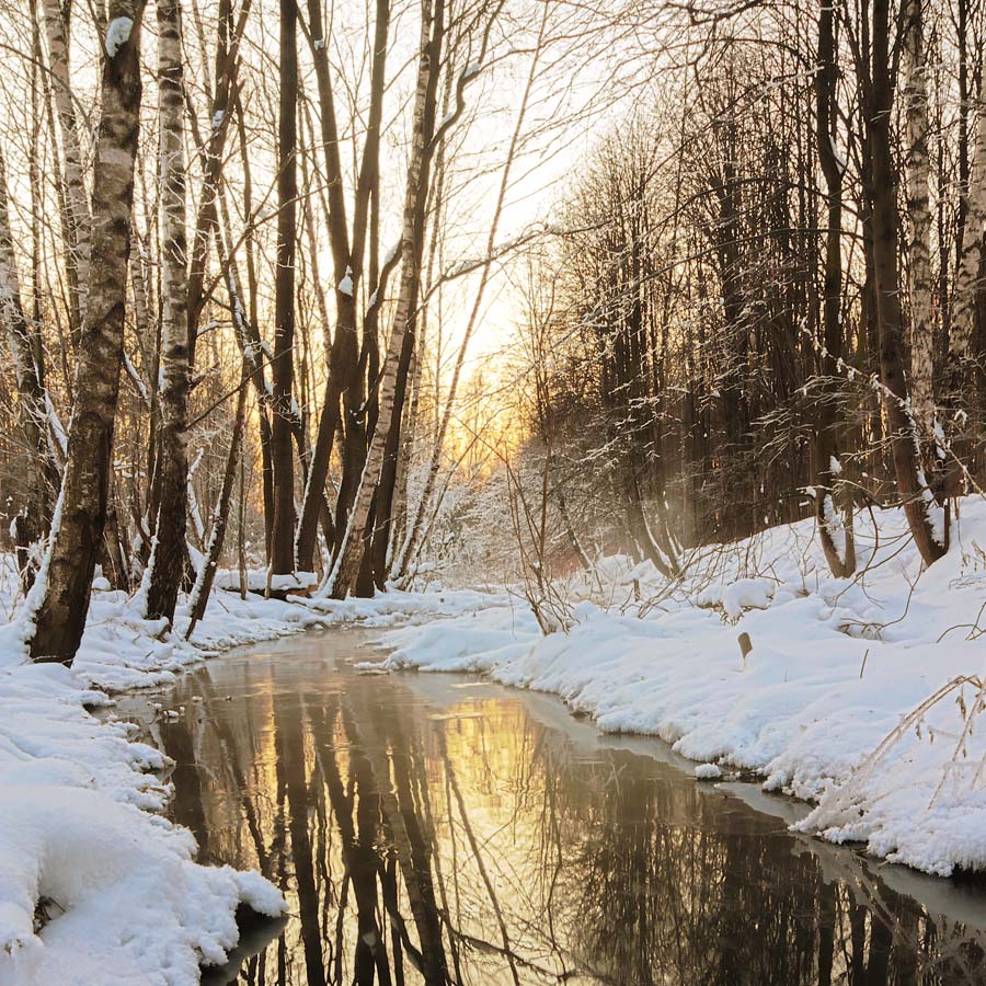 Creek und Sonnenuntergang