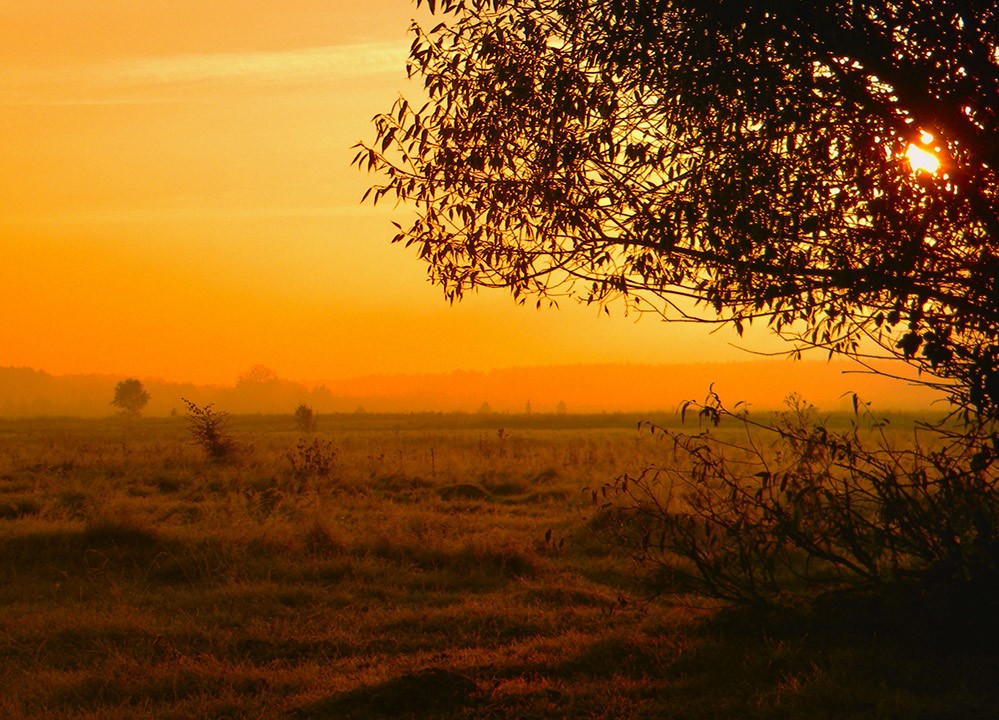 Morgensonnenlicht des Tages