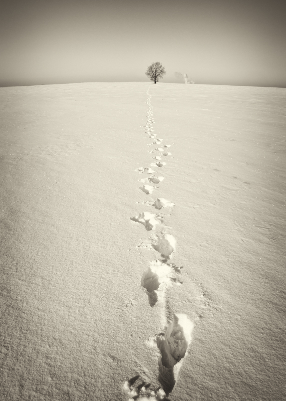 Über dem Ort, wo die Gleise endeten 2