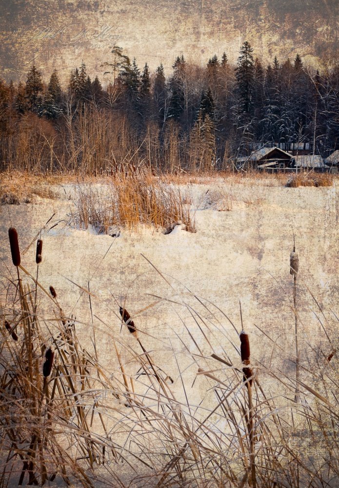 Das Haus meiner Kindheit