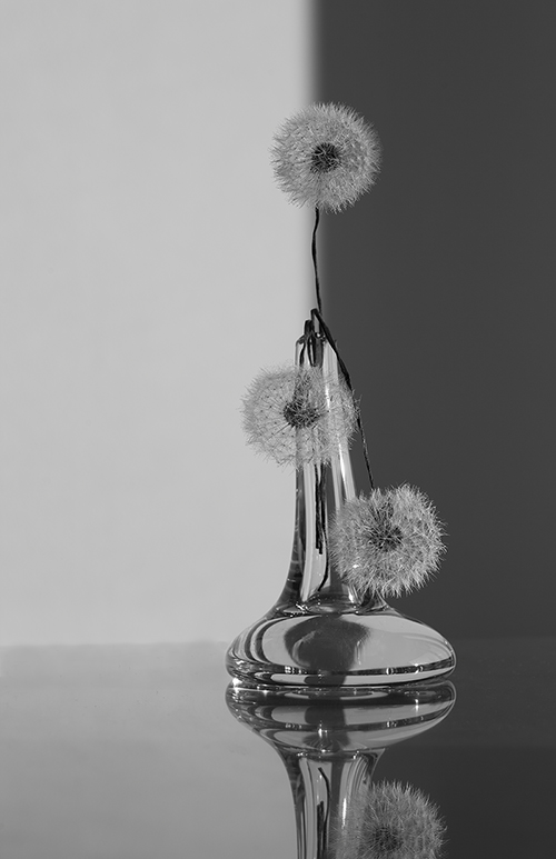 Die Sehnsucht der Vergangenheit