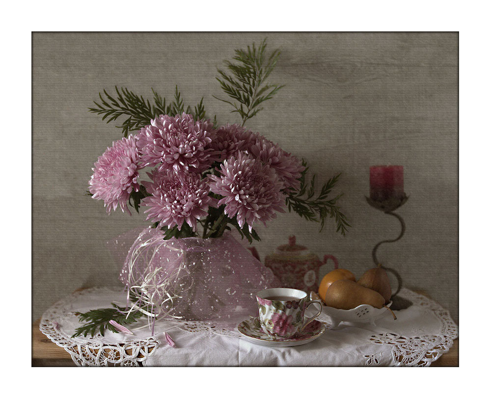 Kommen Sie zu den Möwen ....