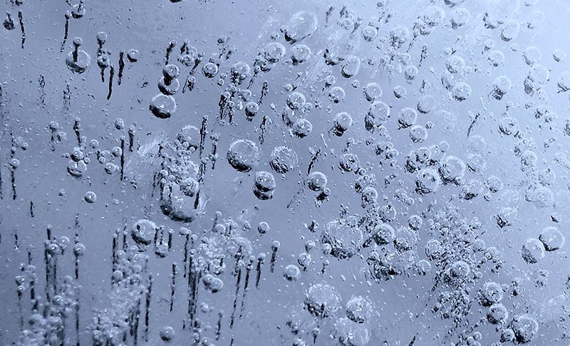 Aus dem Leben der Blasen.