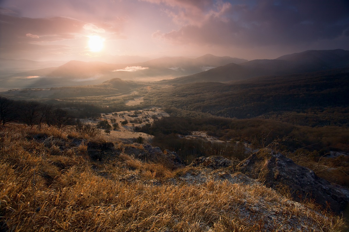 Wohin sollte man gehen Nebel